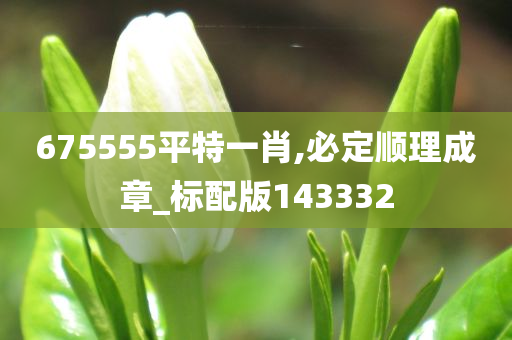 675555平特一肖,必定顺理成章_标配版143332