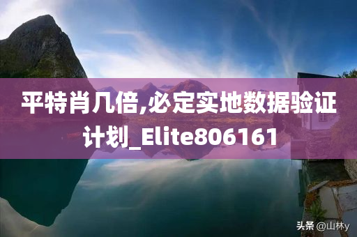 平特肖几倍,必定实地数据验证计划_Elite806161