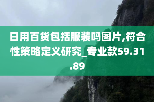 日用百货包括服装吗图片,符合性策略定义研究_专业款59.31.89