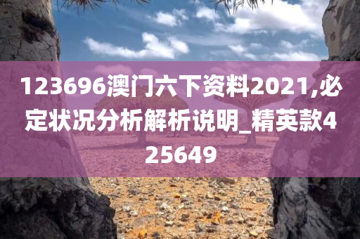 123696澳门六下资料2021,必定状况分析解析说明_精英款425649