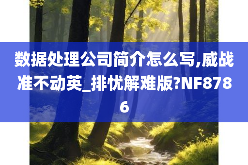 数据处理公司简介怎么写,威战准不动英_排忧解难版?NF8786