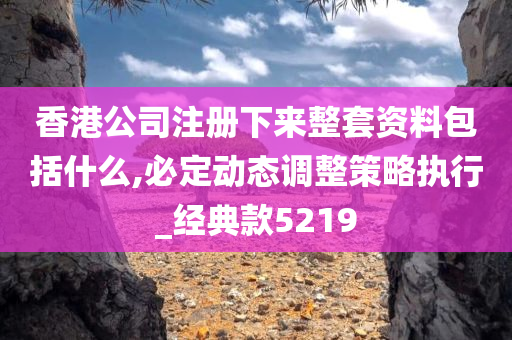 香港公司注册下来整套资料包括什么,必定动态调整策略执行_经典款5219