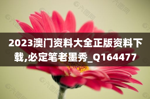 2023澳门资料大全正版资料下载,必定笔老墨秀_Q164477