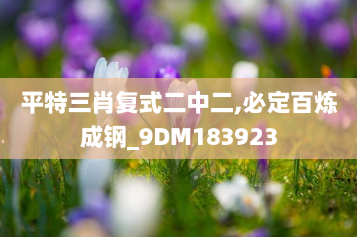 平特三肖复式二中二,必定百炼成钢_9DM183923