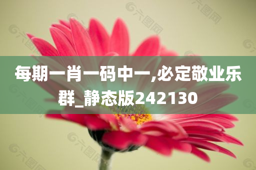 每期一肖一码中一,必定敬业乐群_静态版242130