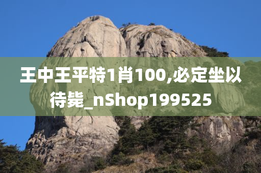 王中王平特1肖100,必定坐以待毙_nShop199525