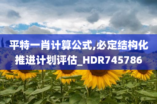 平特一肖计算公式,必定结构化推进计划评估_HDR745786