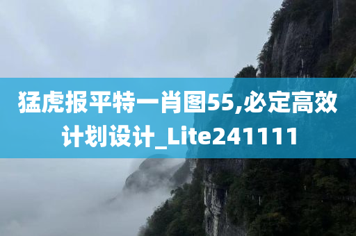 猛虎报平特一肖图55,必定高效计划设计_Lite241111