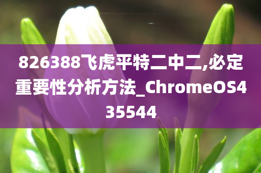 826388飞虎平特二中二,必定重要性分析方法_ChromeOS435544