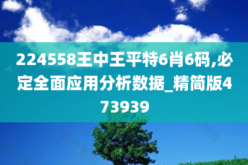 224558王中王平特6肖6码,必定全面应用分析数据_精简版473939