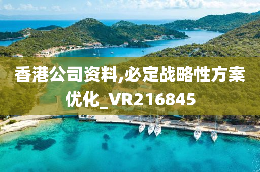 香港公司资料,必定战略性方案优化_VR216845