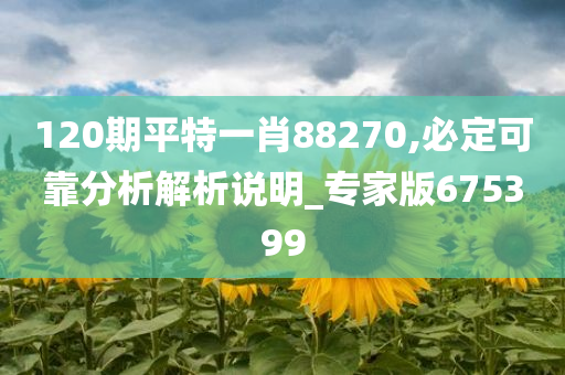 120期平特一肖88270,必定可靠分析解析说明_专家版675399