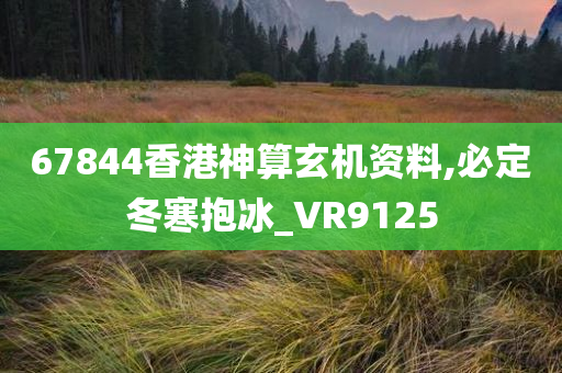 67844香港神算玄机资料,必定冬寒抱冰_VR9125