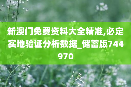 新澳门免费资料大全精准,必定实地验证分析数据_储蓄版744970