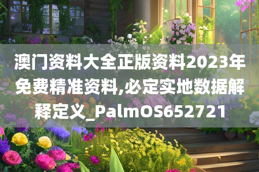 澳门资料大全正版资料2023年免费精准资料,必定实地数据解释定义_PalmOS652721