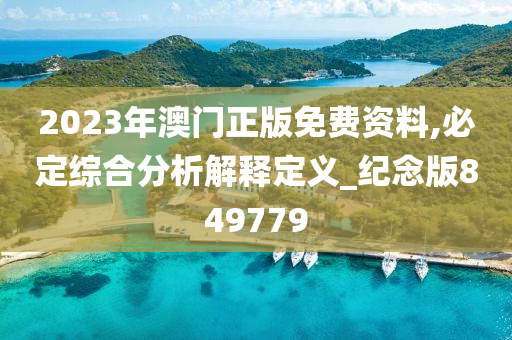 2023年澳门正版免费资料,必定综合分析解释定义_纪念版849779