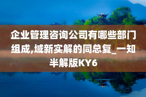 企业管理咨询公司有哪些部门组成,域新实解的同总复_一知半解版KY6