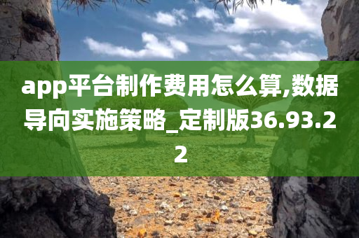 app平台制作费用怎么算,数据导向实施策略_定制版36.93.22