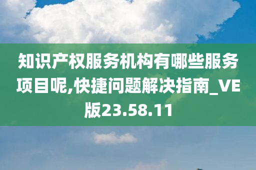 知识产权服务机构有哪些服务项目呢,快捷问题解决指南_VE版23.58.11