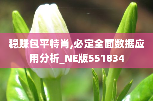 稳赚包平特肖,必定全面数据应用分析_NE版551834