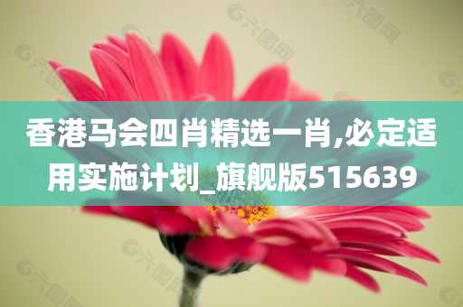 香港马会四肖精选一肖,必定适用实施计划_旗舰版515639