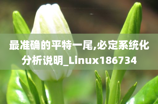 最准确的平特一尾,必定系统化分析说明_Linux186734