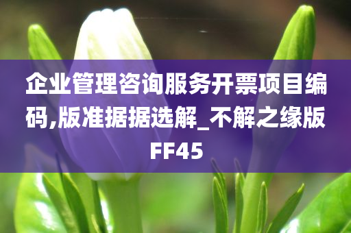 企业管理咨询服务开票项目编码,版准据据选解_不解之缘版FF45