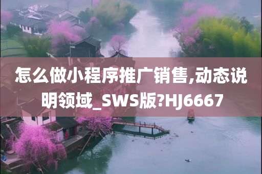 怎么做小程序推广销售,动态说明领域_SWS版?HJ6667