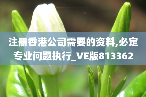 注册香港公司需要的资料,必定专业问题执行_VE版813362