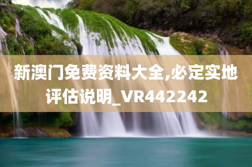 新澳门免费资料大全,必定实地评估说明_VR442242