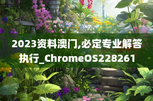 2023资料澳门,必定专业解答执行_ChromeOS228261