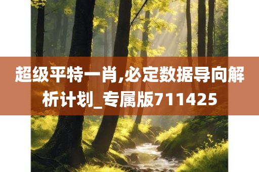 超级平特一肖,必定数据导向解析计划_专属版711425