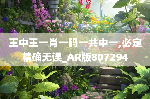 王中王一肖一码一共中一,必定精确无误_AR版807294