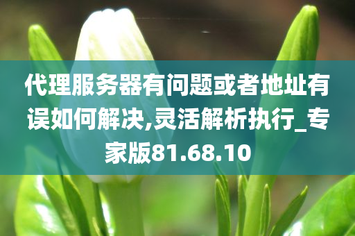 代理服务器有问题或者地址有误如何解决,灵活解析执行_专家版81.68.10