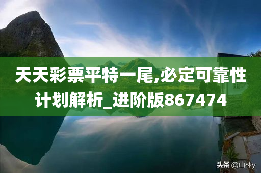 天天彩票平特一尾,必定可靠性计划解析_进阶版867474