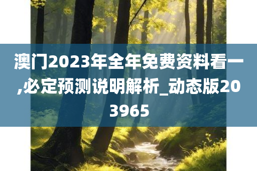 澳门2023年全年免费资料看一,必定预测说明解析_动态版203965