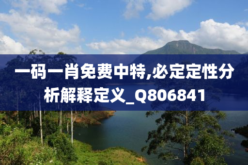 一码一肖免费中特,必定定性分析解释定义_Q806841