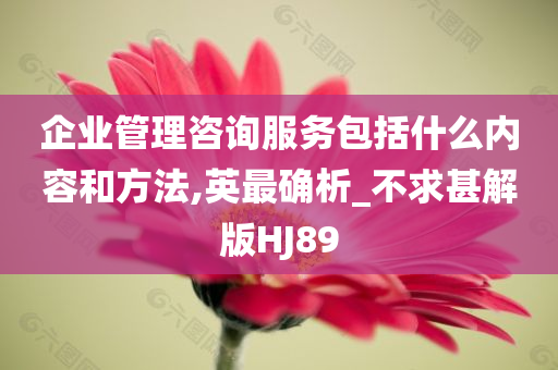 企业管理咨询服务包括什么内容和方法,英最确析_不求甚解版HJ89