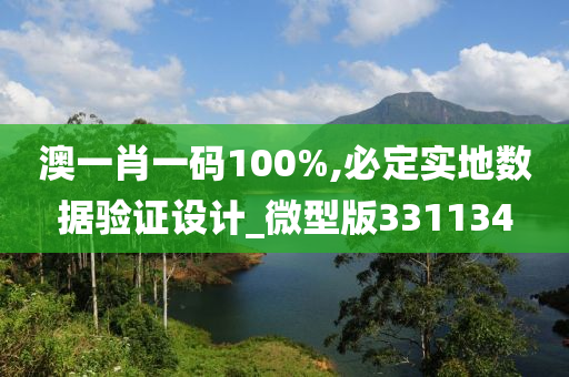 澳一肖一码100%,必定实地数据验证设计_微型版331134