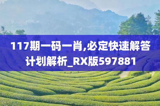 117期一码一肖,必定快速解答计划解析_RX版597881