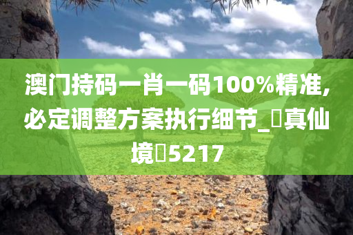 澳门持码一肖一码100%精准,必定调整方案执行细节_‌真仙境‌5217