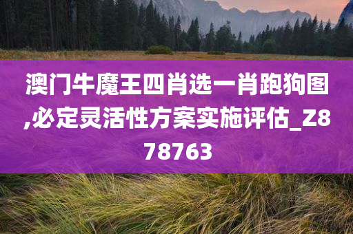 澳门牛魔王四肖选一肖跑狗图,必定灵活性方案实施评估_Z878763