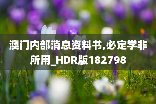 澳门内部消息资料书,必定学非所用_HDR版182798