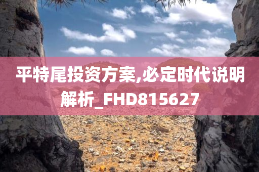 平特尾投资方案,必定时代说明解析_FHD815627