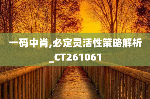 一码中肖,必定灵活性策略解析_CT261061