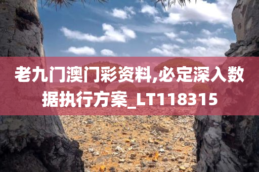 老九门澳门彩资料,必定深入数据执行方案_LT118315