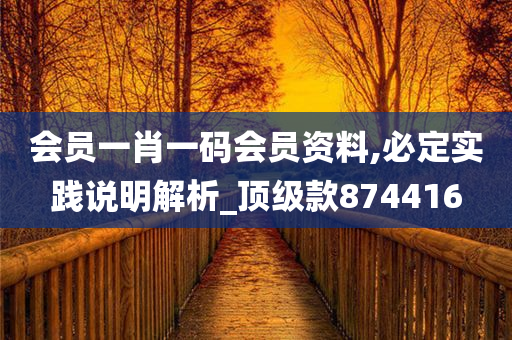 会员一肖一码会员资料,必定实践说明解析_顶级款874416