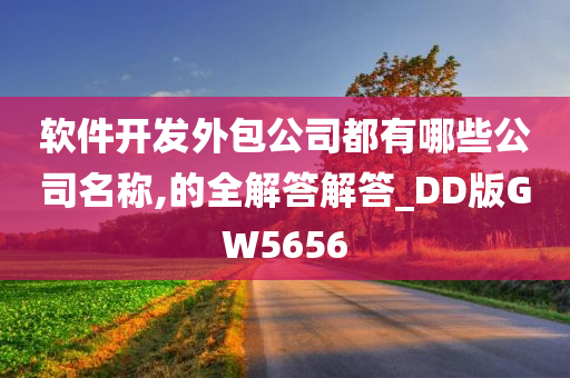 软件开发外包公司都有哪些公司名称,的全解答解答_DD版GW5656