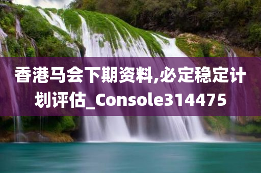 香港马会下期资料,必定稳定计划评估_Console314475