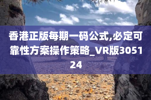 香港正版每期一码公式,必定可靠性方案操作策略_VR版305124